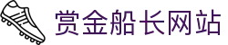 赏金船长·(中国大陆)官方网站