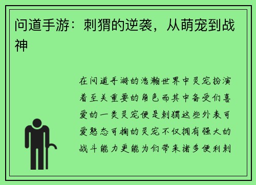 问道手游：刺猬的逆袭，从萌宠到战神