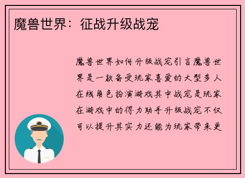 魔兽世界：征战升级战宠
